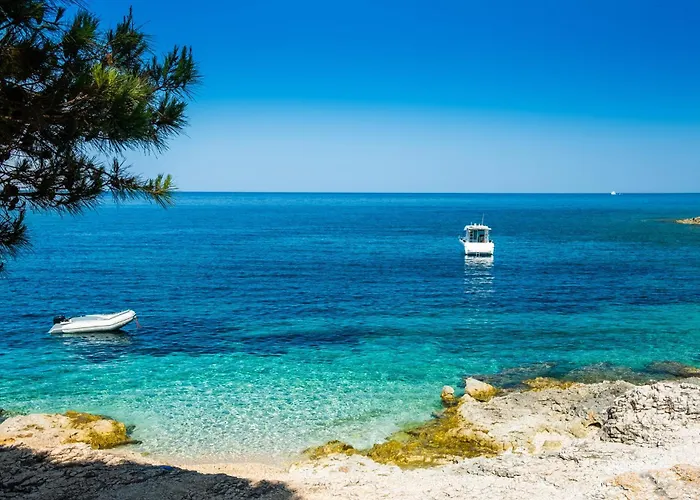 - Insel Dugi Otok 37002 Apartman *