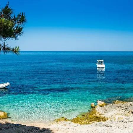 - Insel Dugi Otok 37002 Apartmán *